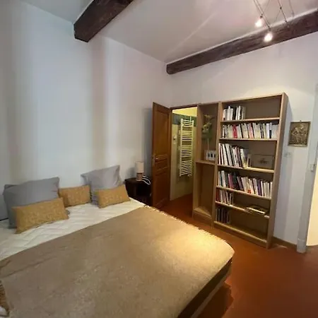 Le Refuge Arlesien Apartment *